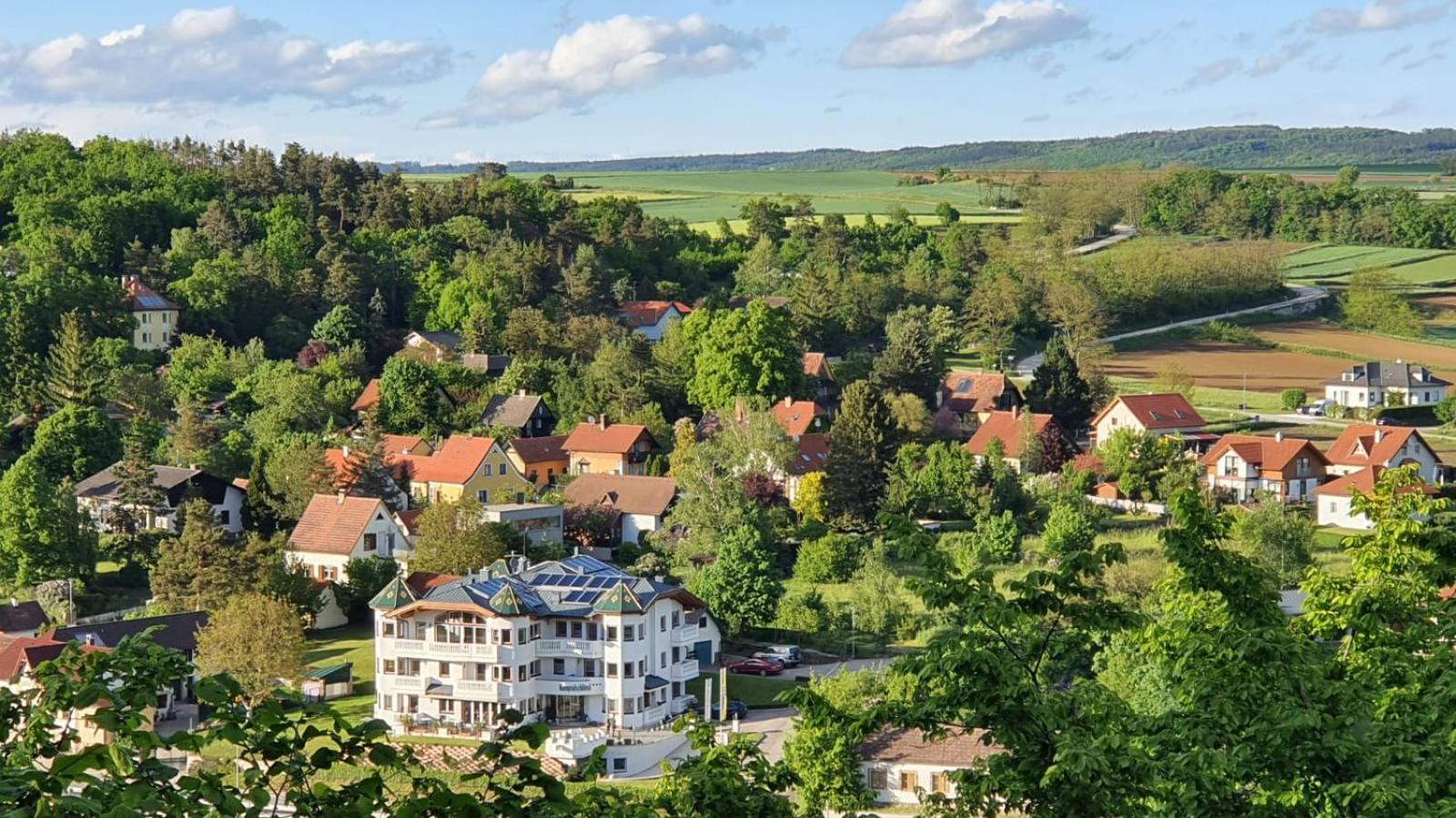 Hotel Kamptalschloessl Plank am Kamp Esterno foto